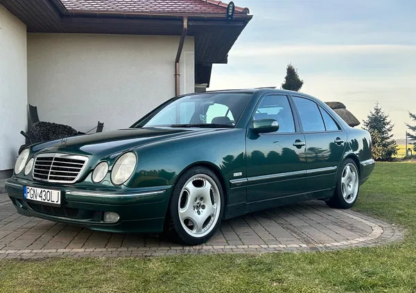 wielkopolskie Mercedes-Benz Klasa E cena 56900 przebieg: 215000, rok produkcji 2003 z Gniezno